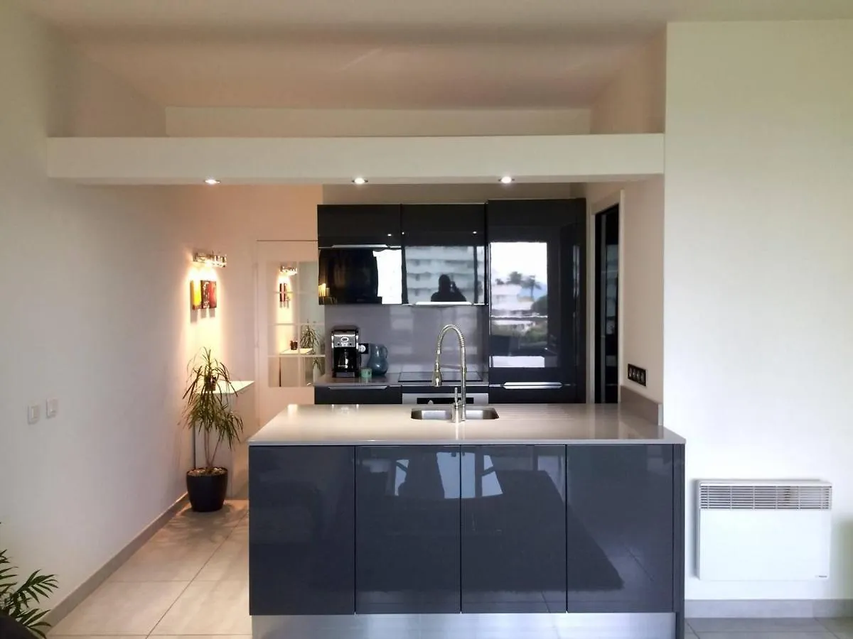 Appartement 2 Pieces, Clim, Parking, Villeneuve-Loubet Plage - Fr-1-252A-28